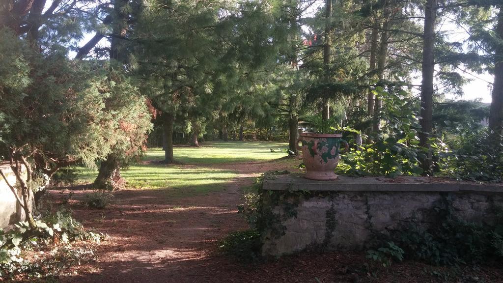Relais De La Haute Pommeraye Apremont  المظهر الخارجي الصورة